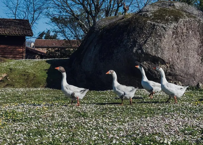 Houmi A Ponte Prázdninový dům